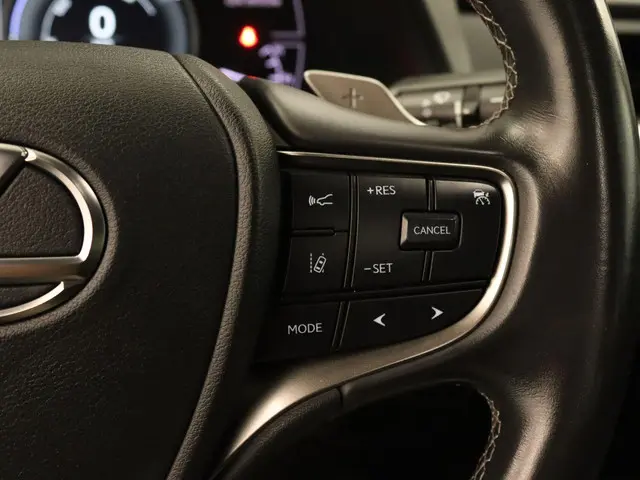 Lexus UX 300e Business 54 kWh 2020 Elektrisch 22