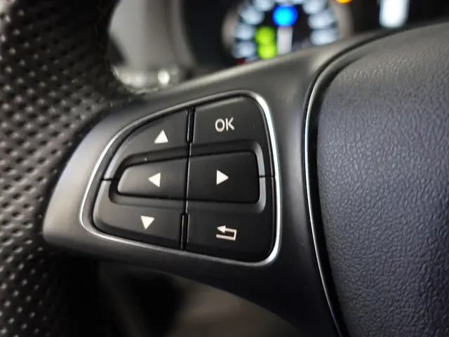 Mercedes-Benz Vito 114 CDI Lang 2024 Diesel 14
