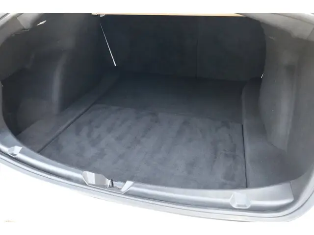 Tesla Model 3 Performance AWD 75 kWh 2019 Elektrisch 13