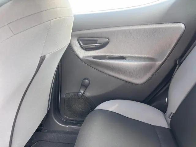 Lancia Ypsilon 0.9 TwinAir Silver + 2013 Benzine 21