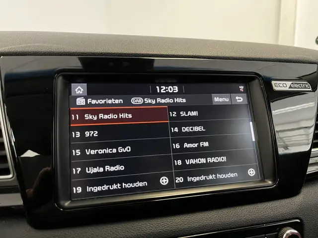 Kia e-Niro ExecutiveLine 64 kWh 2020 Elektrisch 24