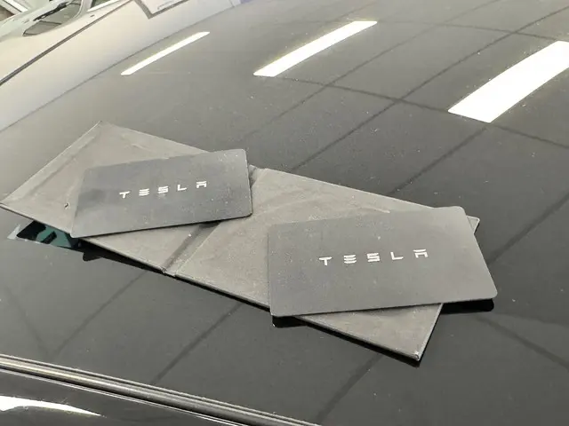 Tesla Model 3 Performance AWD 75 kWh 2019 Elektrisch 17