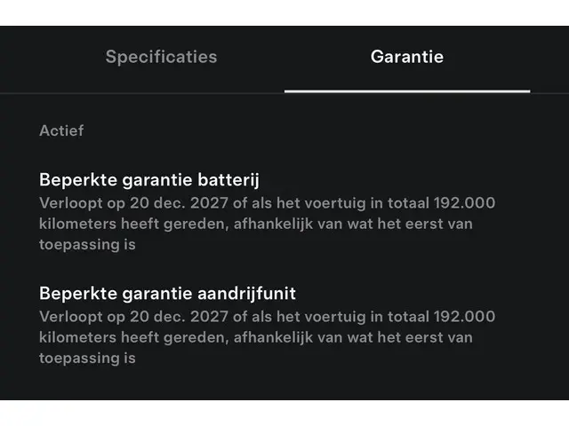 Tesla Model 3 Long Range AWD 75 kWh 2019 Elektrisch 39