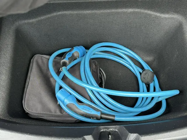 Tesla Model 3 Long Range AWD 75 kWh 2019 Elektrisch 14