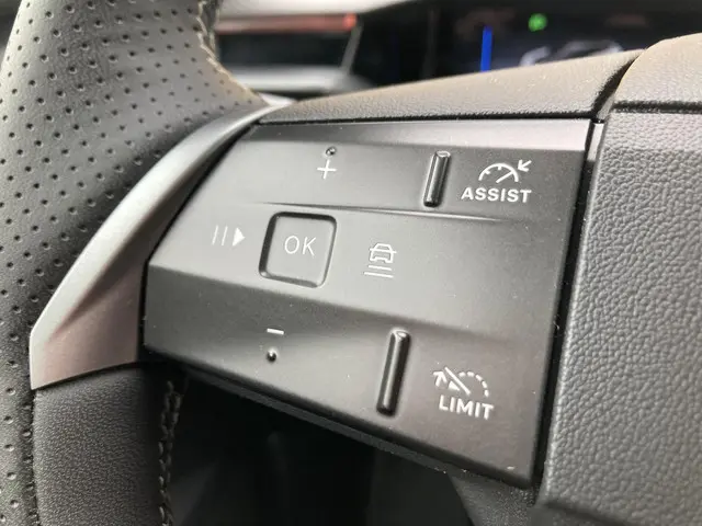 Opel Grandland Electric GS 73 kWh 2025 Elektrisch 14