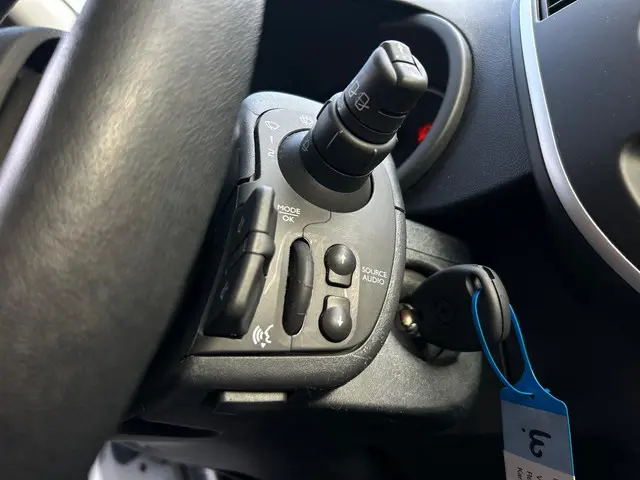 Renault Kangoo Z.E. (ex. accu) 2020 Benzine 15