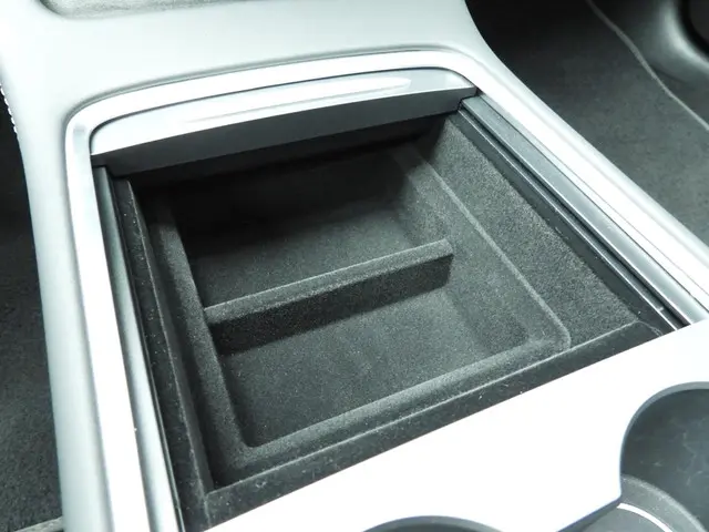 Tesla Model 3 Standard RWD Plus 60 kWh 2023 Elektrisch 24