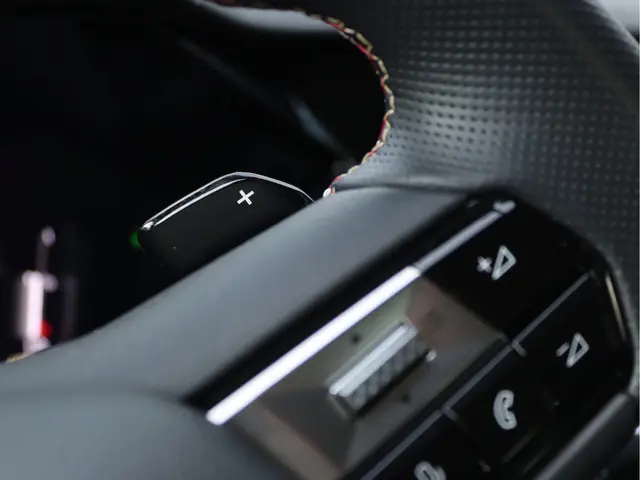 DS DS 4 1.2 PureTech Performance Line 2022 Benzine 35