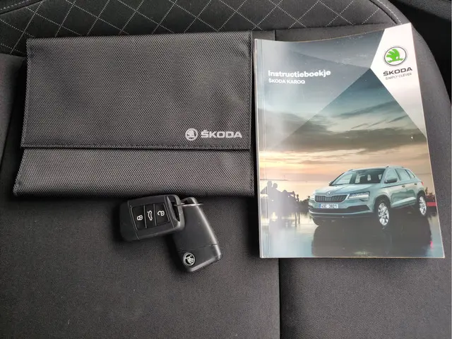 Škoda Karoq 1.0 TSI Business Edition 2021 Benzine 25