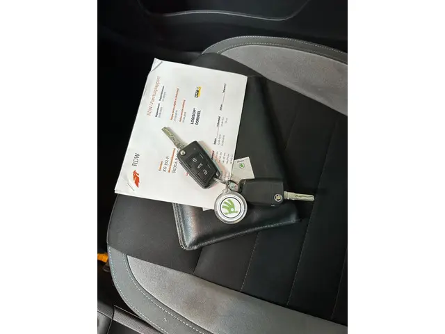 Škoda Rapid Spaceback 1.2 TSI Greentech JOY 2016 Benzine 15