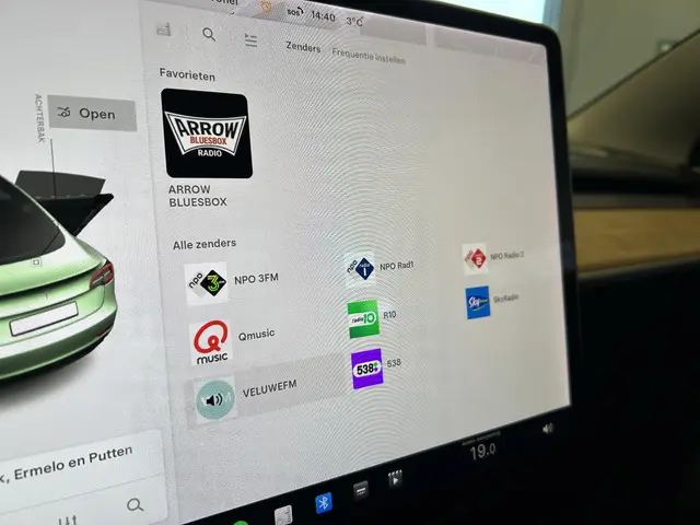 Tesla Model 3 Standard RWD Plus 60 kWh 2020 Elektrisch 23