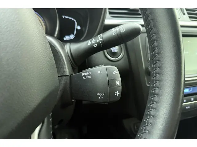 Renault Kadjar 1.2 TCe Limited 2017 Benzine 22