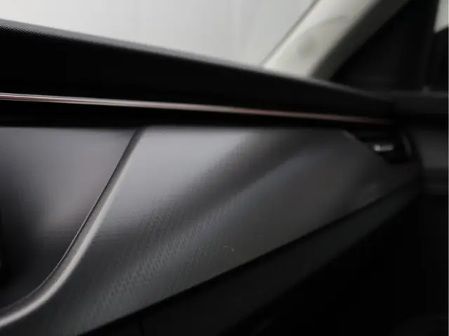 Škoda Kamiq 1.5 TSI ACT Business Edition 2020 Benzine 53