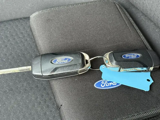 Ford Focus 1.5 EcoBlue Navi PDC EURO-6 2019 Diesel 14