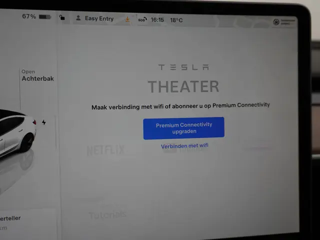 Tesla Model 3 Long Range RWD 75 kWh 2023 Elektrisch 41
