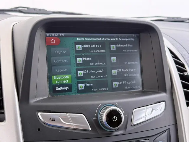 BYD ETP3 Standard 45 kWh 2023 Elektrisch 29