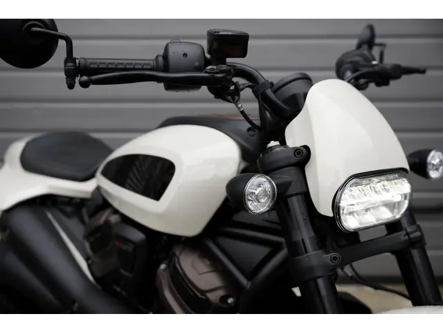 Harley-Davidson Sportster 1250 S S 2023 2023 Benzine 4