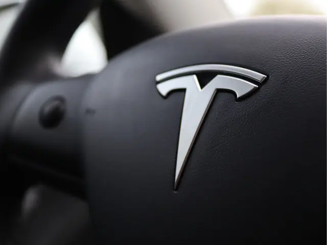 Tesla Model 3 Standard RWD Plus 60 kWh 2019 Elektrisch 50