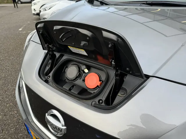 Nissan Leaf e+ Tekna 62 kWh 2019 Elektrisch 10