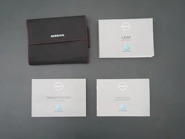 Nissan Leaf e+ Tekna 62 kWh 2022 Elektrisch 38