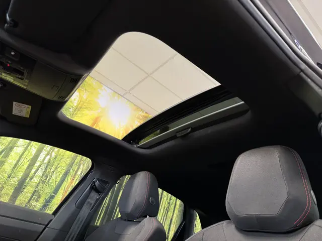 Volkswagen Polo 2.0 TSI GTI 2019 Benzine 25