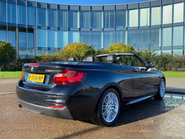 BMW 2 Serie Cabrio 220i M Sport 2016 Benzine 19