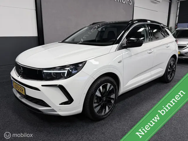 Opel Grandland 1.2 Turbo Level 3 2023 Benzine
