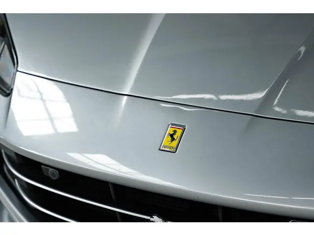 Ferrari Portofino V8 HELE 2018 Benzine 19