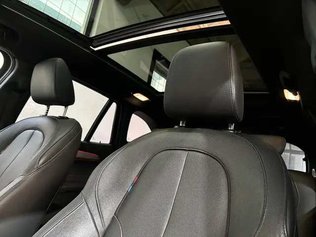 BMW X1 xDrive20i High Executive 2018 Benzine 11