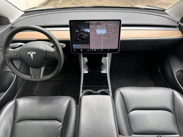 Tesla Model 3 Standard RWD Plus 60 kWh 2020 Elektrisch 13