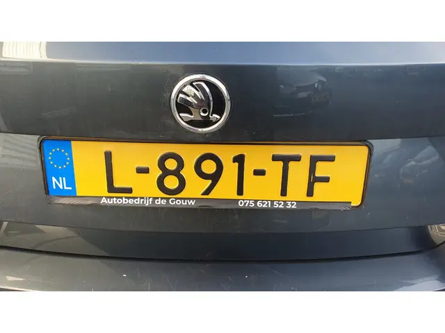 Škoda Fabia 1.2 TSI Monte Carlo 2017 Benzine 10