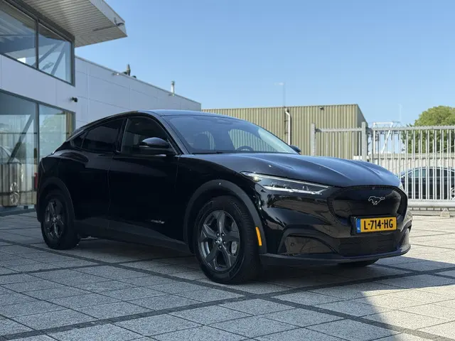 Ford Mustang Mach-E Aut. 75kWh 2021 Elektrisch 7