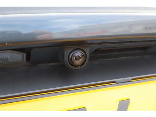 Tesla Model 3 Standard RWD Plus 60 kWh 2020 Elektrisch 16