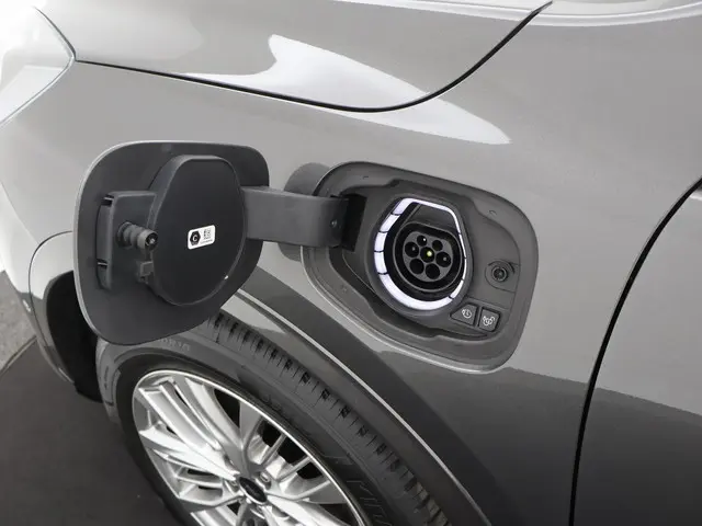 Ford Kuga 2.5 PHEV Vignale 2021 Hybride Benzine 48