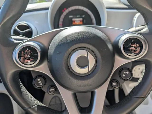 Smart Forfour 1.0 Prime / Goed onderhouden 2017 Benzine 17