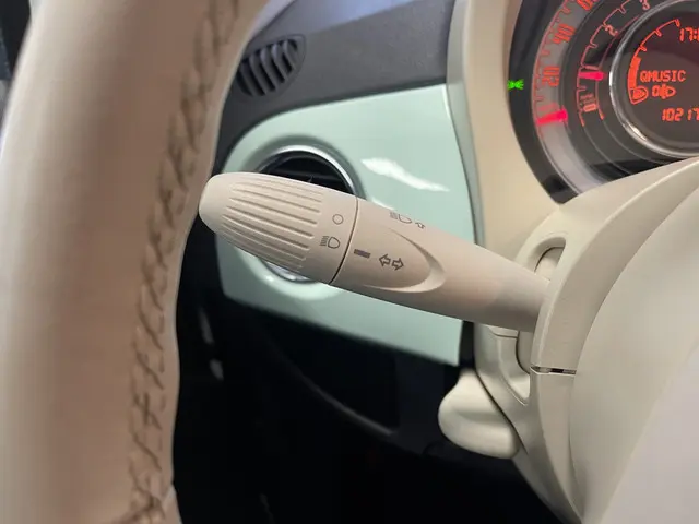 Fiat 500 1.2 Lounge 2015 Benzine 25