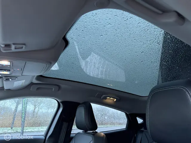 Ford Mustang Mach-E RWD 75 kWh 2021 Elektrisch 16