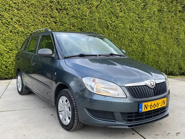 Škoda Fabia Combi 1.2 Go | Airco 2014 Benzine 6