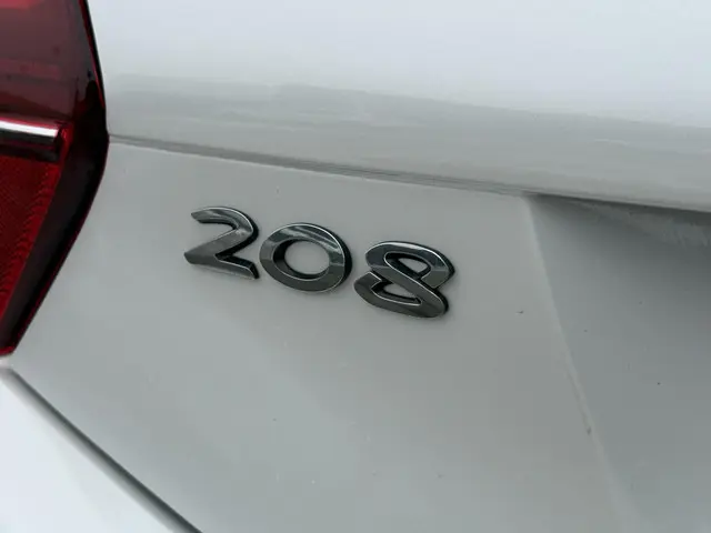 Peugeot 208 1.2 PureTech Blue Lion 2018 Benzine 30