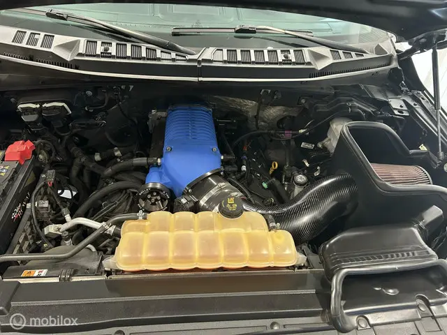 Ford F-150 USA Shelby Super Snake 2019 Benzine 34