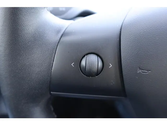 Tesla Model 3 Standard RWD Plus 60 kWh 2020 Elektrisch 24