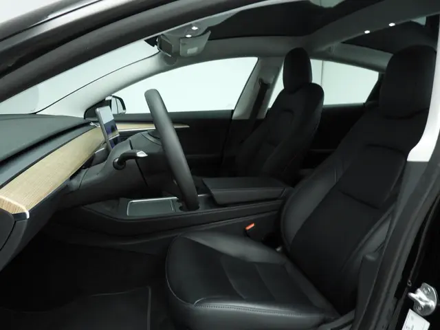 Tesla Model 3 Standard RWD Plus 60 kWh 2023 Elektrisch 8