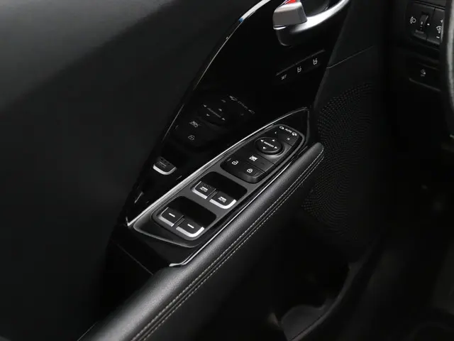 Kia e-Niro ExecutiveLine 64 kWh Leder 2019 Elektrisch 17