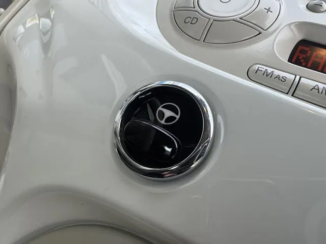 Fiat 500C 1.2 Lounge 2013 Benzine 35