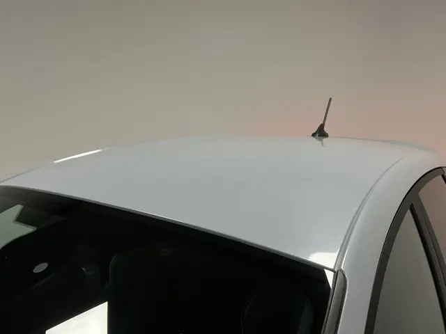 Ford Fiesta 1.5 EcoBoost ST-3 2020 Benzine 47