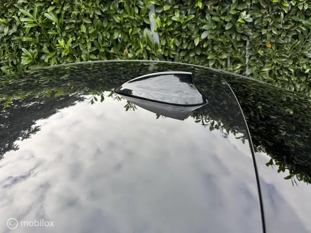 BMW 3 Serie 318i Luxury Edition 2019 2019 Benzine 24