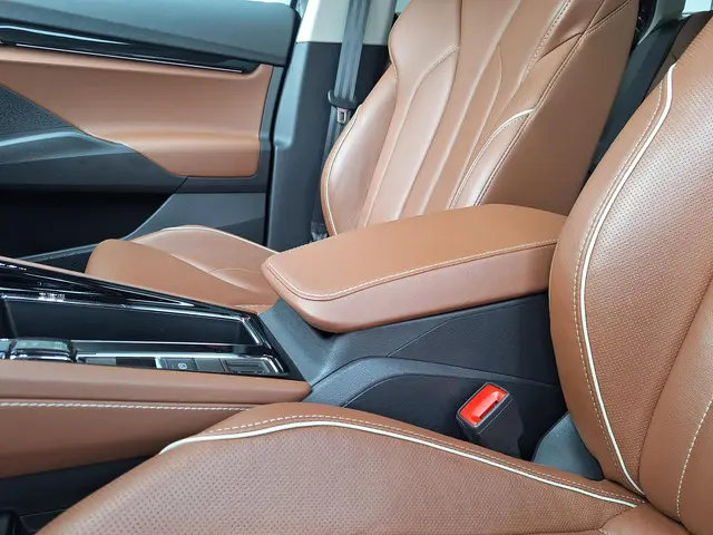 Škoda Enyaq iV 80 2021 Elektrisch 8