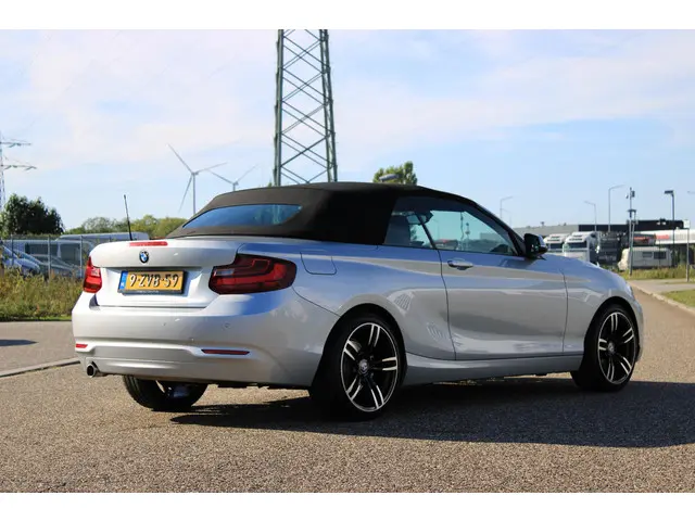 BMW 2 Serie Cabrio 220i 2015 Benzine 15
