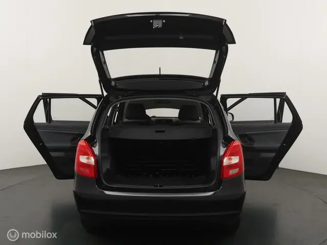 Škoda Fabia Combi 1.2 TSI Arctic 2013 Benzine 18