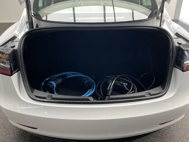 Tesla Model 3 Standard RWD Plus 60 kWh 2021 Elektrisch 8
